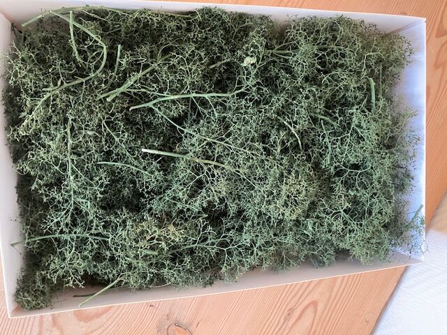 Heki 1630 Løvtræer og buske 15 Stk Natur fibre. h0  TT N Z.